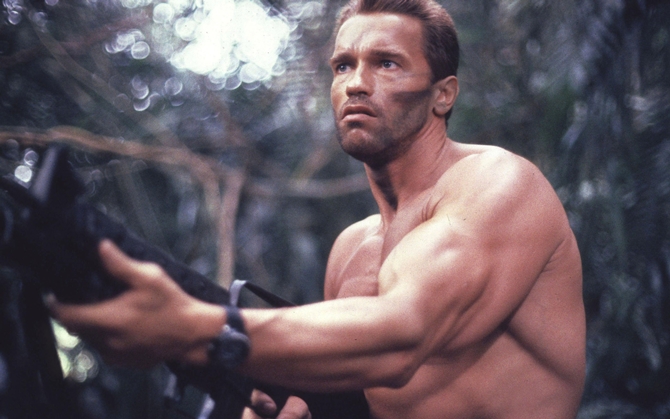 Arnold Schwarzenegger hay 