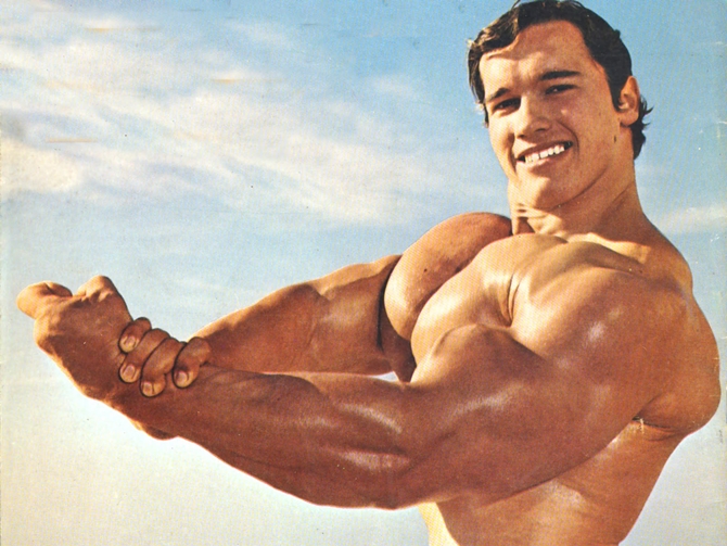 Arnold Schwarzenegger hay 