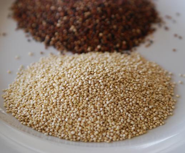 Quinoa - “Thực phẩm vàng” cho sức khỏe và sắc đẹp của bạn