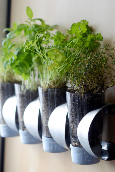 11 ý tưởng trồng cây thảo mộc trong nhà