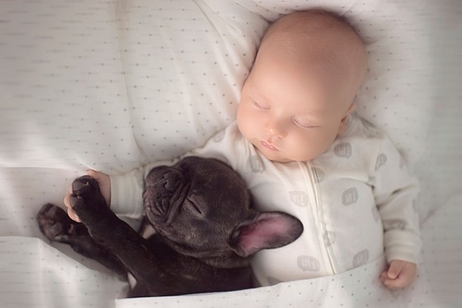 Bộ ảnh ngọt ngào về em bé và cún con sinh cùng ngày