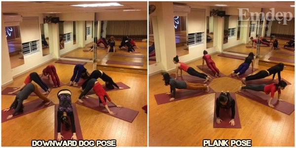 4 bài tập yoga thải độc, tan mỡ bụng cho người ngồi nhiều