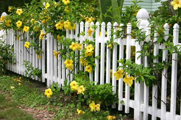 Hàng rào hoa, thêm nét hoàn hảo cho tổ ấm của bạn