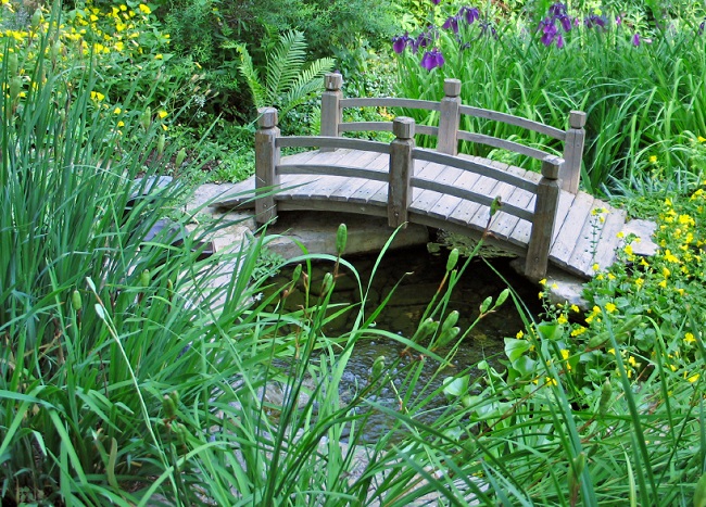 Những cây cầu nhỏ tạo điểm nhấn lạ mắt cho vườn nhà