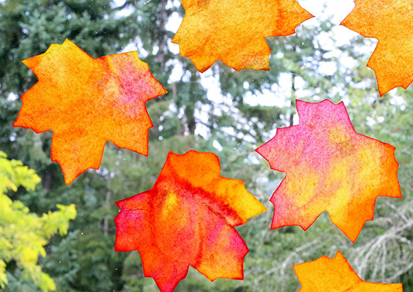 Mang cả mùa thu vào nhà với mẹo trang trí với lá khô
