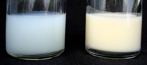 Những thành phần có trong sữa mẹ, sữa công thức và lợi ích của chúng (P.1)