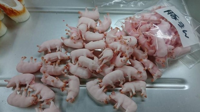 Phát hoảng với món “lợn bao tử” gây chấn động Trung Quốc