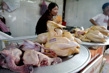 Cảnh báo nguy cơ cúm A(H7N9) xâm nhập từ Trung Quốc