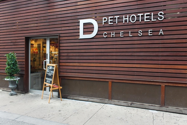 Ghé thăm khách sạn siêu sang trọng cho “cún” tại New York