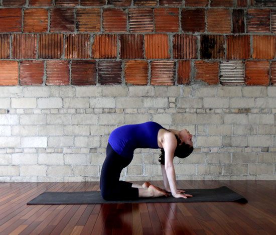 Bài tập yoga giúp giảm đau lưng cho mẹ bầu