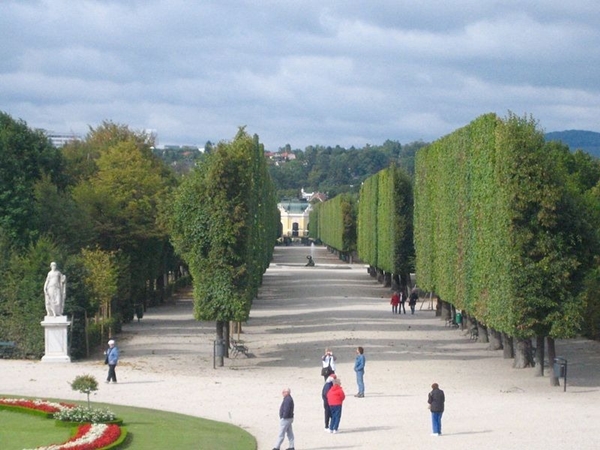 Những hàng cây “màn hình phẳng” tại cung điện Schonbrun