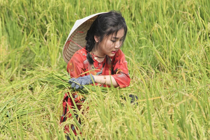Project Runway Việt Nam 2015 Tập 2 Ngày 26/12: Hải Yến xinh ngất ngây, Anh Dũng khóc mếu giữa đồng