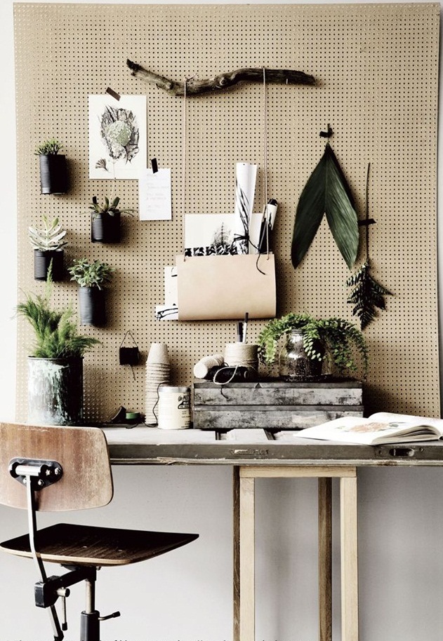 13 ý tưởng sử dụng cây xanh trong trang trí phòng làm việc