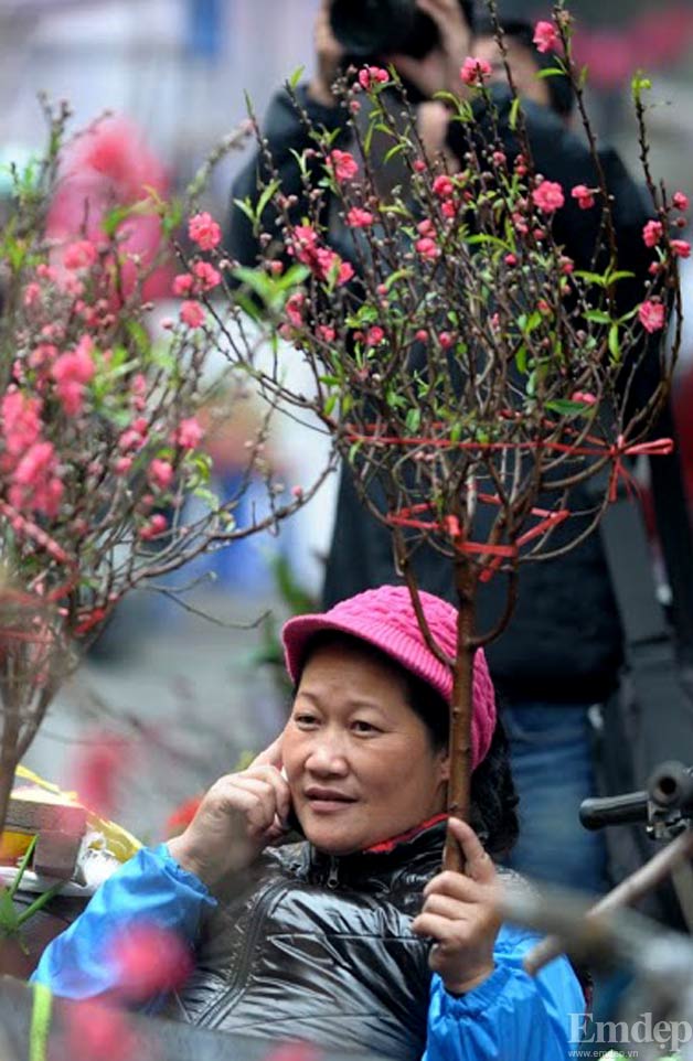 Ảnh: Đào Nhật Tân trên chợ hoa Quảng An