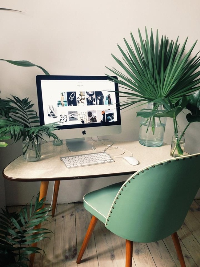 13 ý tưởng sử dụng cây xanh trong trang trí phòng làm việc