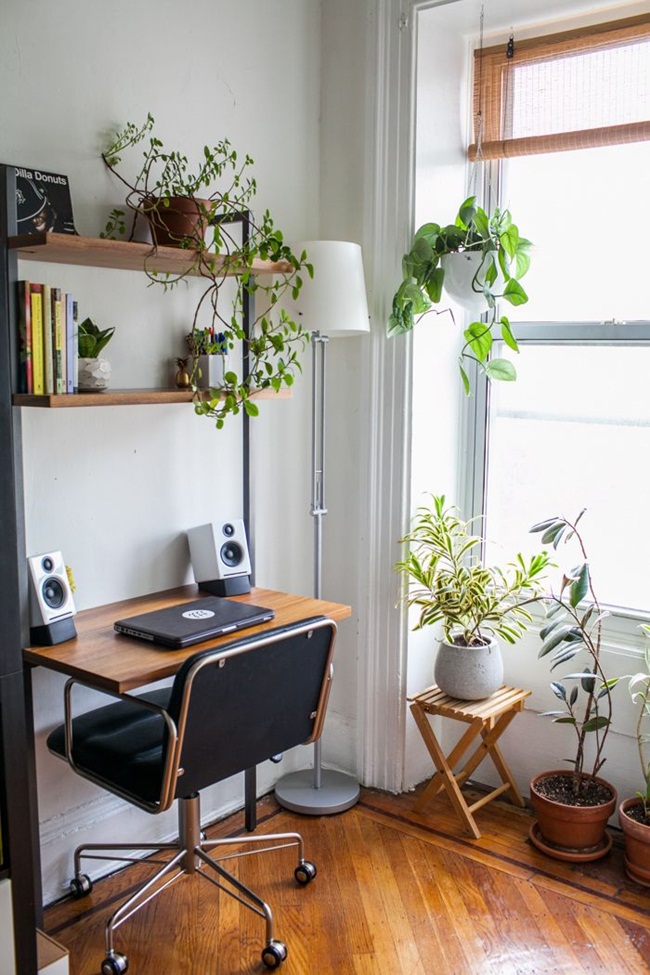 12 ý tưởng sử dụng cây xanh trong trang trí phòng làm việc