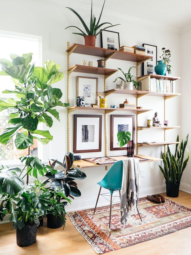 12 ý tưởng sử dụng cây xanh trong trang trí phòng làm việc
