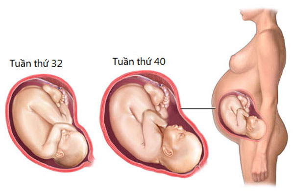 4 bước chuẩn chăm sóc thai nhi 3 tháng cuối