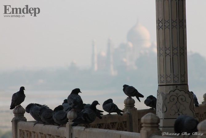 Taj Mahal biểu tượng của tình yêu vĩnh cửu 