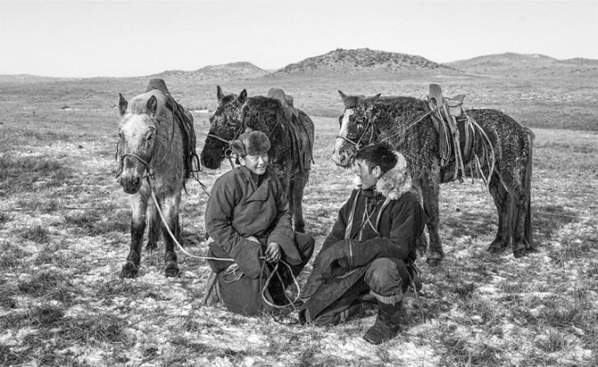 Gặp gỡ những người bạn trung thành của người dân Mông Cổ