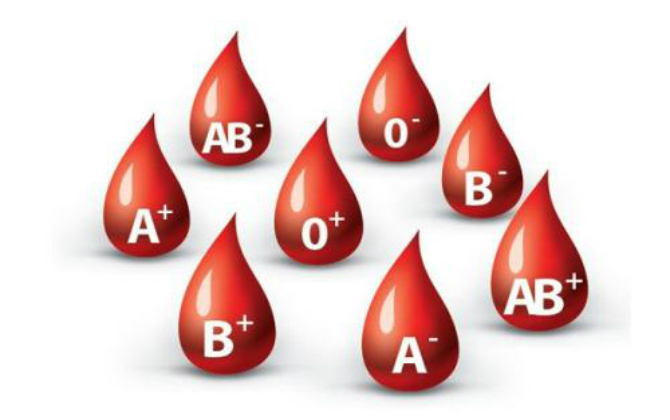 Nhóm máu tiết lộ gì về tình trạng sức khỏe của bạn?