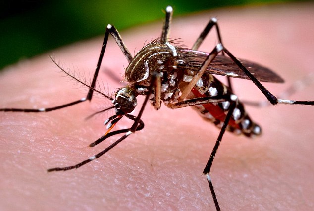 Chấn động: Mỹ phát hiện ca nhiễm virus Zika đầu tiên truyền qua đường tình dục