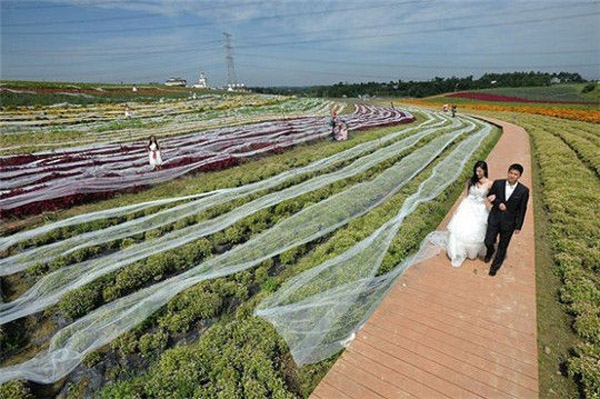 Cận cảnh váy cưới dài 101m, trị giá hơn 1 tỷ đồng