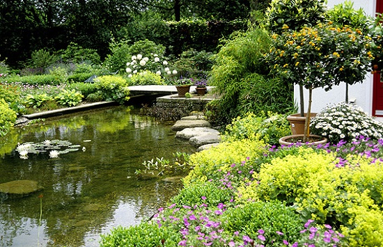 Bố trí dòng nước trong vườn giúp tiền tài, may mắn chảy vào nhà