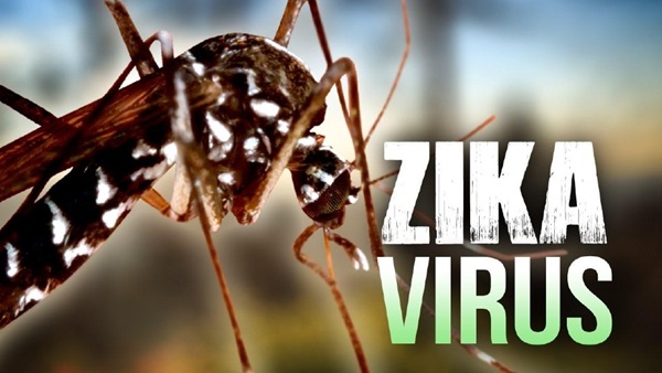 2 trường hợp dương tính với Zika ở VN: Thai phụ cần chú ý gì?