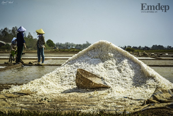 Về Bến Tre nhớ ghé thăm làng nghề muối truyền thống Bảo Thuận