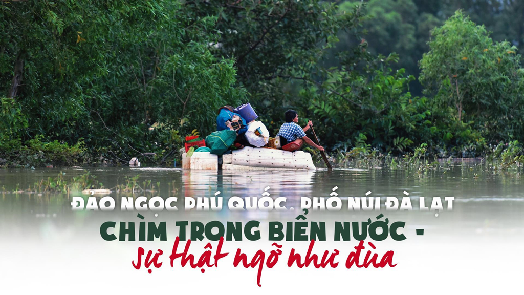 Đảo ngọc Phú Quốc, phố núi Đà Lạt chìm trong biển nước - thật như đùa