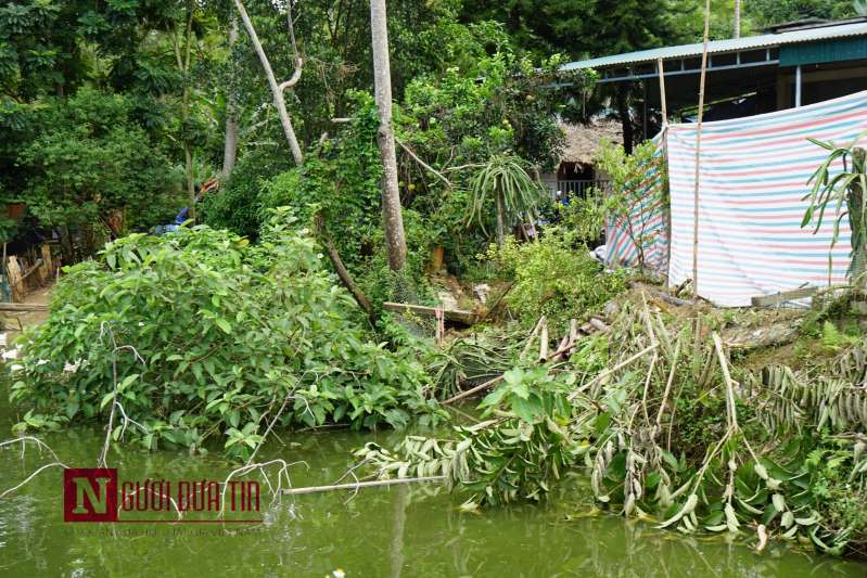 Tìm sự thật nghi án vợ giết chồng rồi phi tang xuống ao ở Tuyên Quang