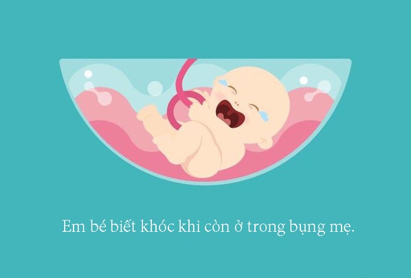 3 sự thật thú vị về mẹ và bé trong 9 tháng 10 ngày: Vừa bất ngờ lại vô cùng hài hước