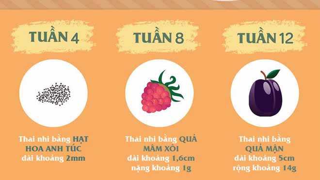 Mẹ sẽ dễ dàng hình dung thai nhi trong bụng lớn đến đâu bằng cách so sánh với các loại quả