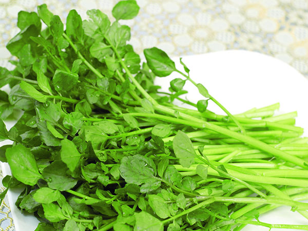 Bật mí loại rau ngừa bệnh ung thư nhiều phụ nữ mắc phải, lại đứng dầu danh sách 41 loại rau giàu dinh dưỡng