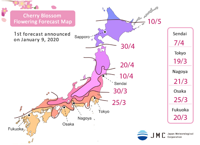 Đã có lịch dự báo hoa anh đào nở ở Nhật Bản, lên tinh thần làm visa để chuẩn bị tháng 3 "đu đưa" thả ga