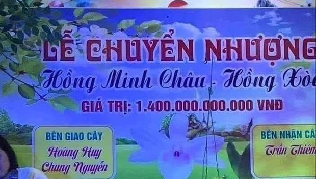 Sự thật "ngã ngửa" về cây lan đột biến hồng minh châu có giá 1.400 tỷ đồng