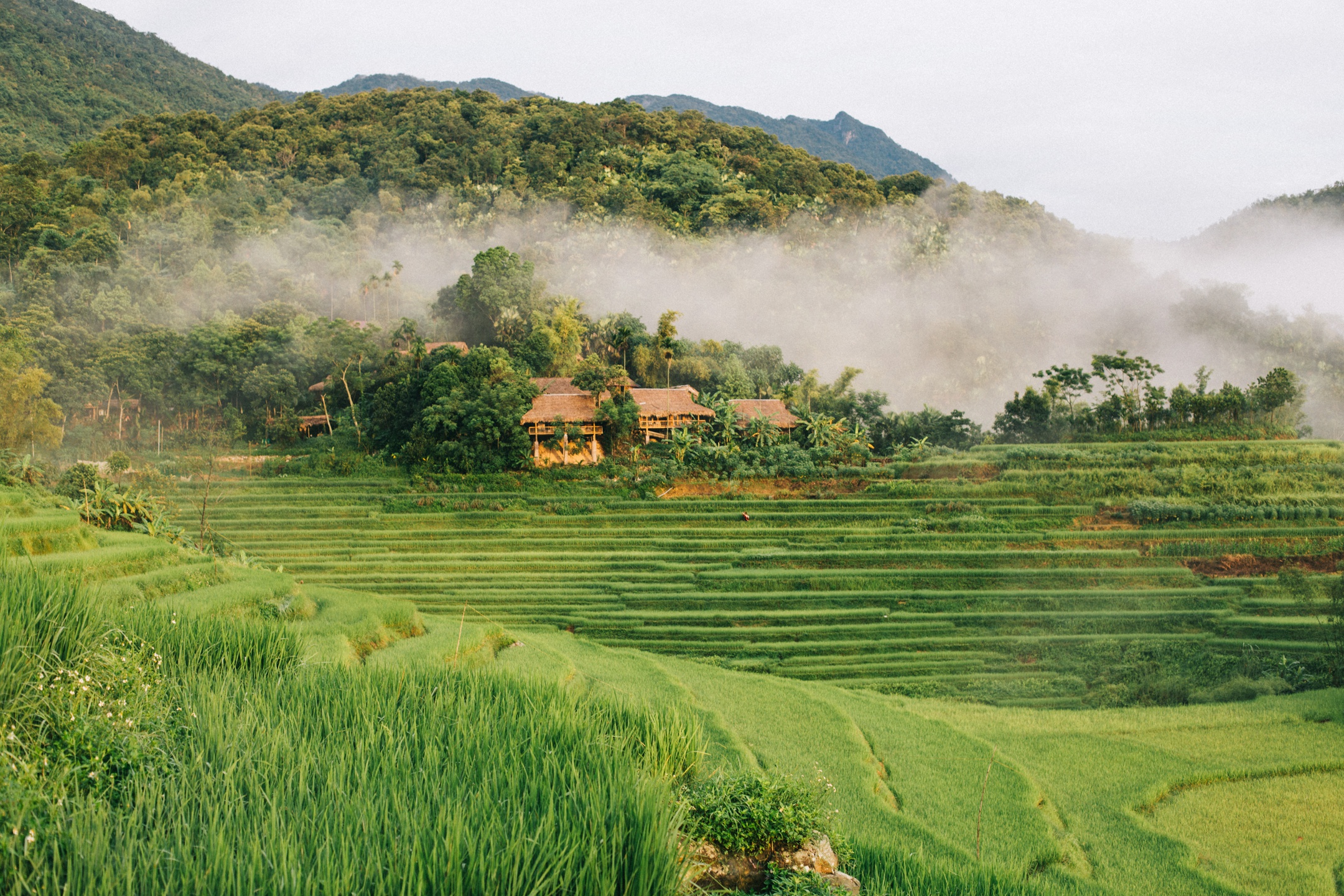 Tháng 9, chẳng gì thích hợp hơn là đến Pù Luông ngắm lúa