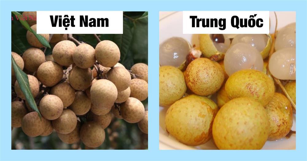 Chỉ cần dùng mắt thường nhìn ra ngay quả Trung Quốc 'đội lốt', chị em thông thái xem ngay