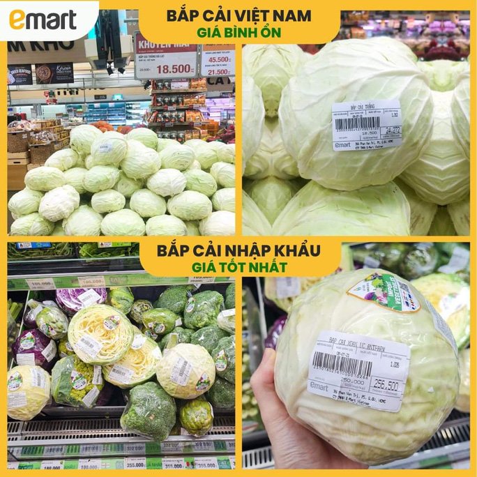 Thực hư siêu thị bán bắp cải 250.000 đồng/kg trong mùa dịch