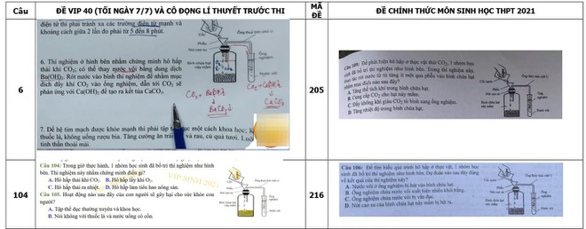 Một thầy giáo bị "tố" ôn tập giống 80% đề thi môn Sinh: Bộ GD-ĐT xác minh