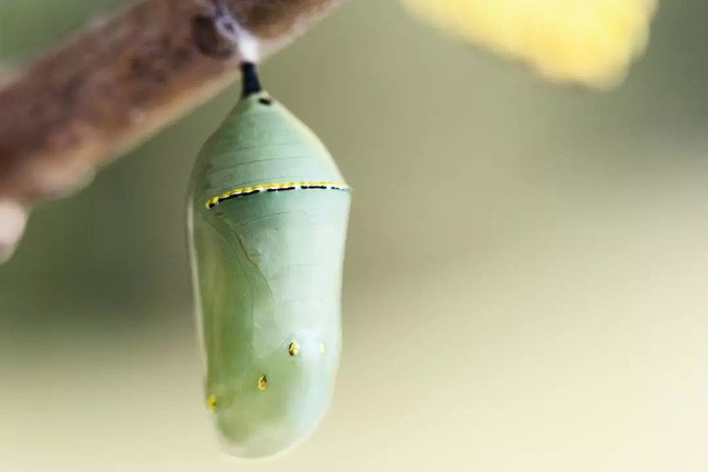 Góc sống chậm: Những bài học cuộc sống cần ghi nhớ mà không trường lớp nào dạy bạn, biết sớm ngày nào hay ngày ấy