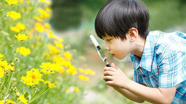 8 loại trí thông minh của con người, cái THỨ 3 rất quan trọng: Cha mẹ nên biết để áp dụng ngay vào PHÒNG NGỦ của con