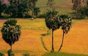 Lang thang ở An Giang