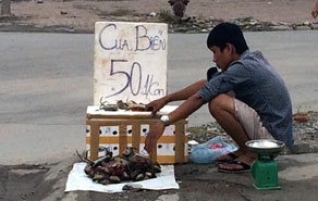 Cua biển giá rẻ không có xuất xứ rõ ràng