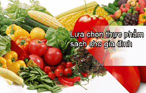 Rộ trào lưu về quê mua thực phẩm sạch