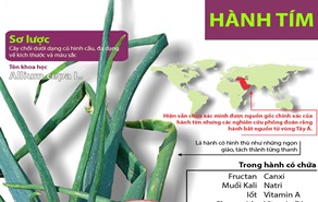 Infographic: Khám phá công dụng chữa bệnh của hành tím