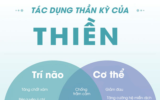 Những tác dụng thần kỳ của Thiền