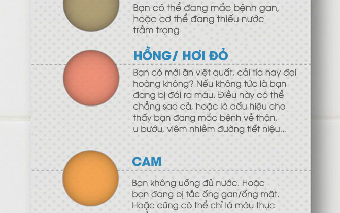Infographic: Nhìn nước tiểu biết ngay bạn bị bệnh gì