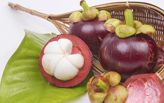 6 lợi ích của măng cụt với mẹ bầu